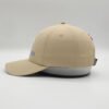 6 Panel Cap