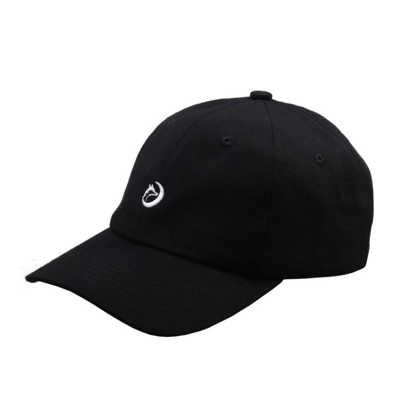 Flat embroidery cotton dad hat