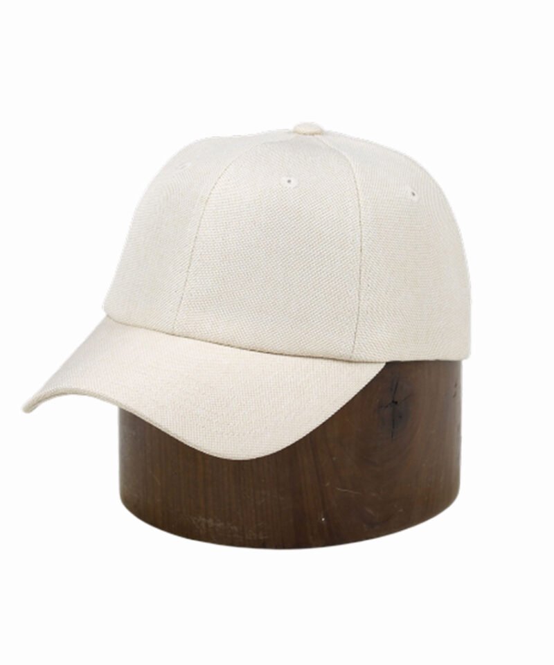 6-Panel balnkDad Hat