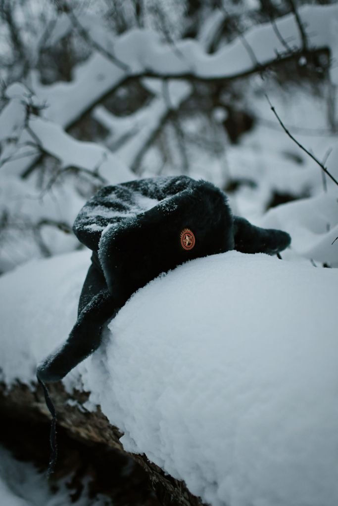 A fur ushanka hat with a badge rests on a snow-covered log in a serene winter forest.